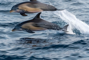 Катания: морская прогулка по побережью с аперитивом