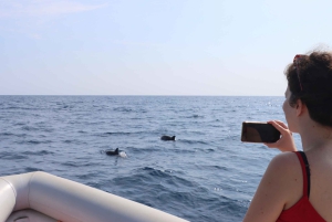 Catania: Delphinbeobachtungs-Segelerlebnis mit Marecamp