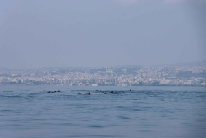 Catania: Delphinbeobachtungs-Segelerlebnis mit Marecamp