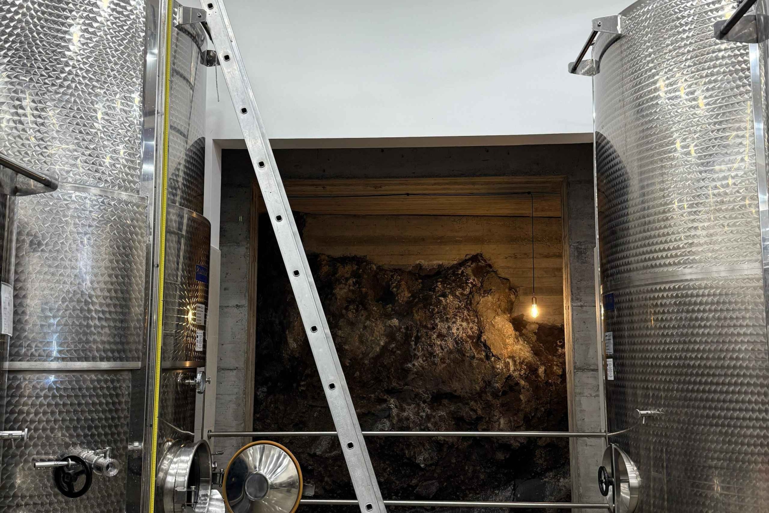 Catania: Etna Wine Tour and Culinary Experience