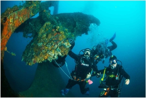 Catania: Gulf Scuba Diving Tour with Marine Biologist
