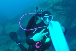 Catania: Gulf Scuba Diving Tour with Marine Biologist