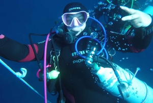 Catania: Gulf Scuba Diving Tour with Marine Biologist