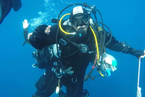 Catania: Gulf Scuba Diving Tour with Marine Biologist