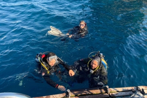 Catania: Gulf Scuba Diving Tour with Marine Biologist