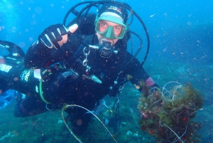 Catania: Gulf Scuba Diving Tour with Marine Biologist