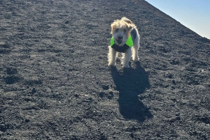 Katania: poranna wycieczka na Etna z wizytą w Valle del Bove