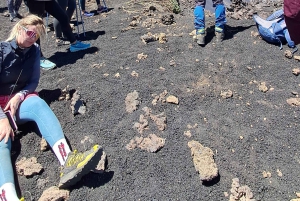 Katania: poranna wycieczka na Etna z wizytą w Valle del Bove