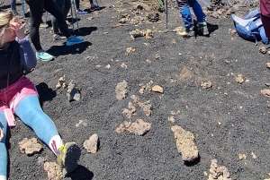 Katania: poranna wycieczka na Etna z wizytą w Valle del Bove