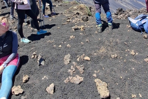 Katania: poranna wycieczka na Etna z wizytą w Valle del Bove