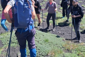 Katania: poranna wycieczka na Etna z wizytą w Valle del Bove