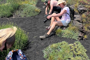 Katania: poranna wycieczka na Etna z wizytą w Valle del Bove