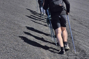 Katania: poranna wycieczka na Etna z wizytą w Valle del Bove