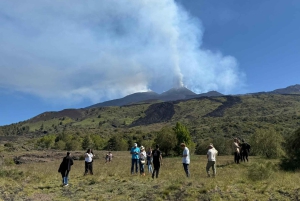 Catania: Mount Etna Morning Jeep Tour