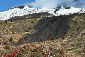 Catania: Mount Etna Morning Jeep Tour