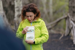 Catania: Mount Etna Morning or Sunset Day Trip with Tasting