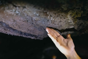 Catania: Mount Etna Morning or Sunset Day Trip with Tasting