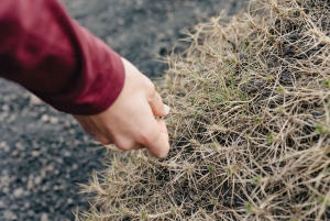 Catania: Mount Etna Morning or Sunset Day Trip with Tasting