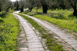 Catania: Pozzo di Gaspare Farm Guidad tur med provsmakningar
