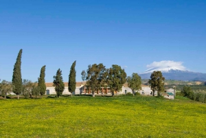 Catania: Pozzo di Gaspare Farm Guidad tur med provsmakningar