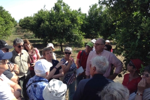 Catania: Pozzo di Gaspare Farm Guidad tur med provsmakningar