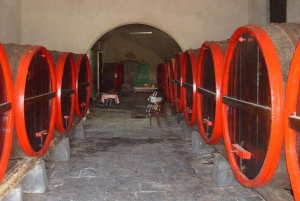 Catania: Pozzo di Gaspare Farm Guidad tur med provsmakningar