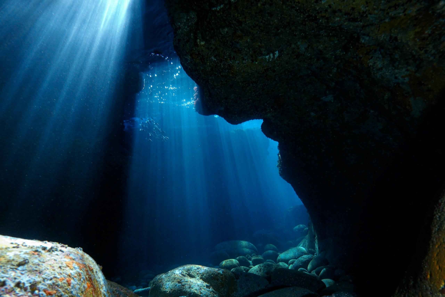 Catania: Scuba Diving Experience