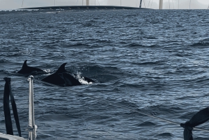 Catania: Sunset Sailing with Aperitif and Swim (4 hours)