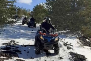 Catania Zweistündige Quad-Tour auf dem Ätna mit Guide