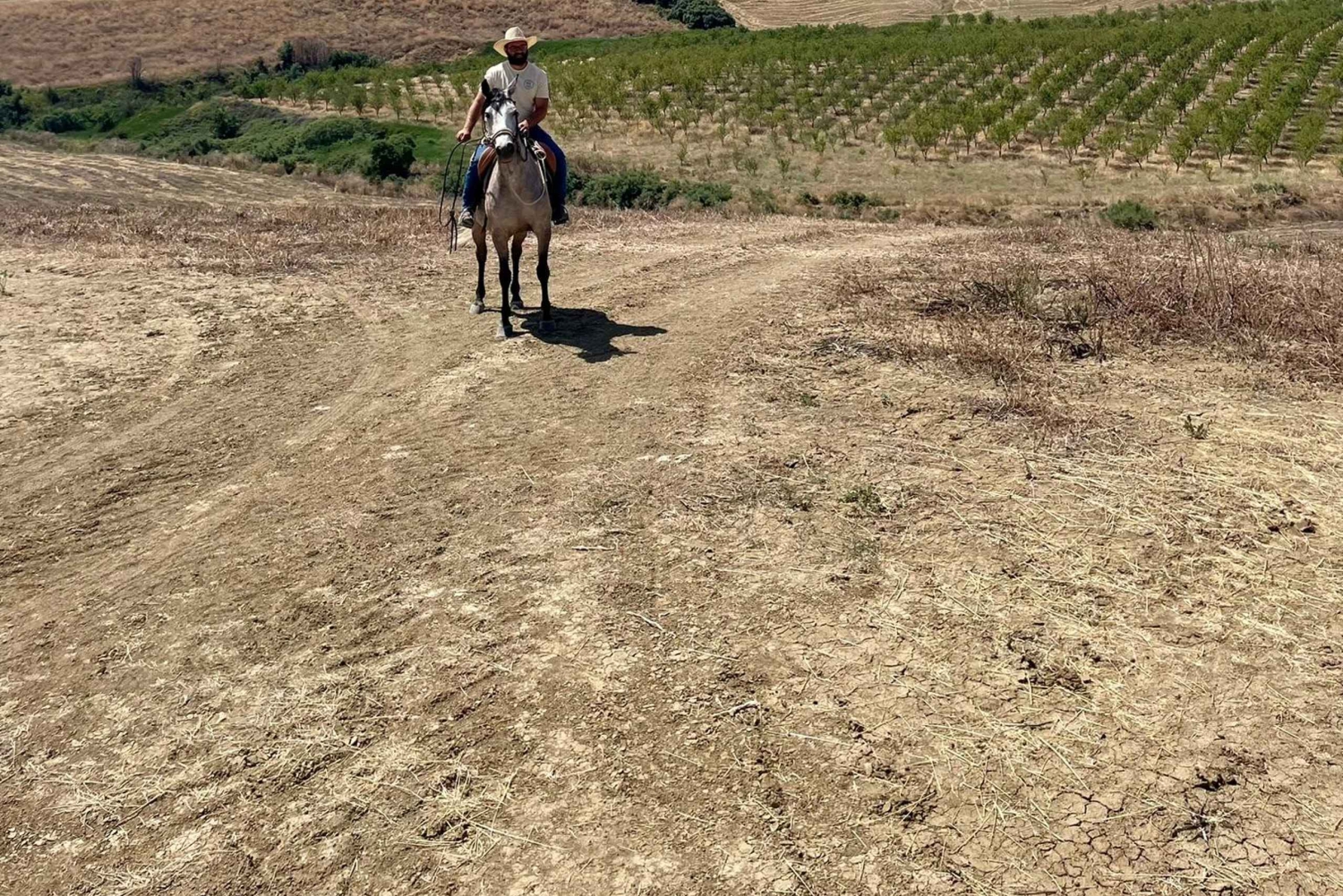 Enna, Sicily: Horseback Ride Through Inland Trails