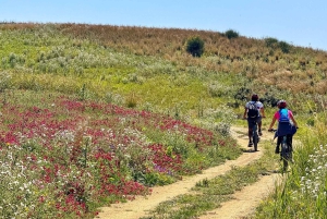 E-Bike: Äventyr på Scala dei Turchi, sicilianska byar och matupplevelser