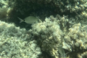 E-Bike: Äventyr på Scala dei Turchi, sicilianska byar och matupplevelser