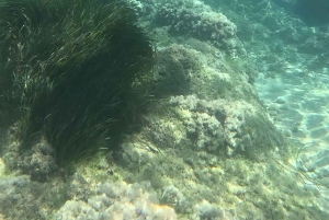 E-Bike: Äventyr på Scala dei Turchi, sicilianska byar och matupplevelser