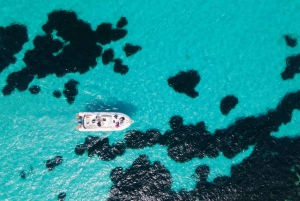 Expérience en bateau dans les Égades : Favignana et Levanzo depuis Trapani