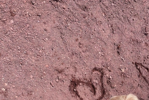 Etna Family Tour: tour semi-privado no Monte Etna para famílias