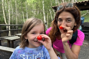 Etna Family Tour: tour semi-privado no Monte Etna para famílias