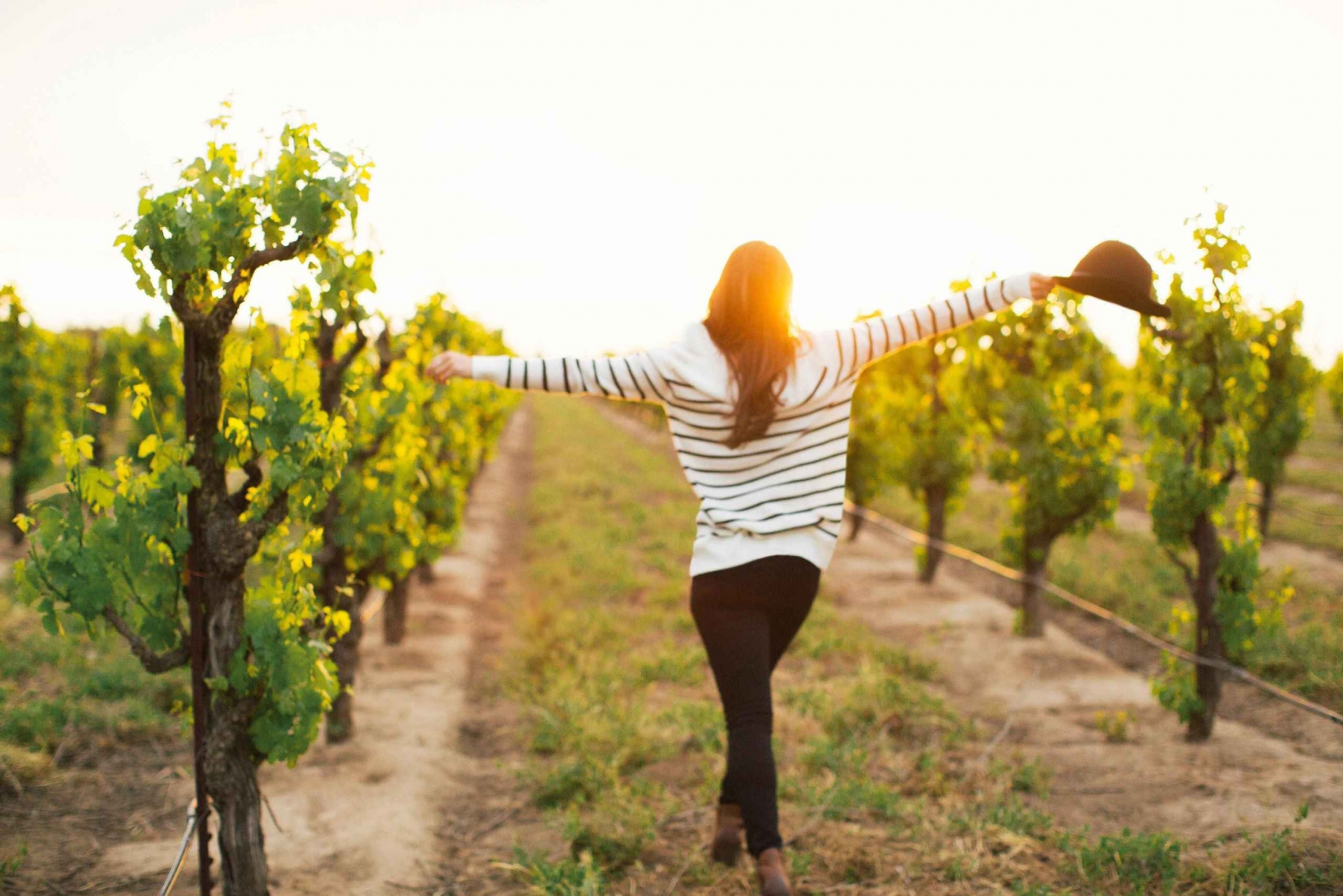 Tour privato Etna Quad & Wine Combo