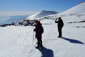 Etna Syd: Vintervandring i stor højde med alpeguide