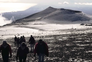 Etna Syd: Vintervandring i stor højde med alpeguide