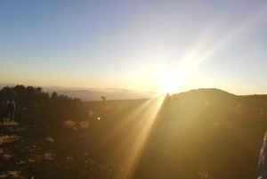 エトナ山サンセットツアー：火山トレッキング、洞窟、試食（カターニア発）