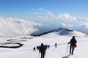 Etna-trekning på 3000 meter med taubane, guide og taxitjeneste kan bestilles
