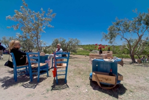 エトナ山とワインのプライベート 1 日ツアー