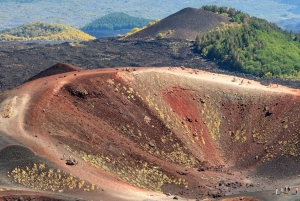 エトナ山とワインのプライベート 1 日ツアー