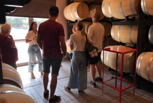 エトナ山とワインのプライベート 1 日ツアー