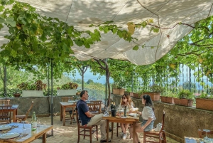 エトナ山とワインのプライベート 1 日ツアー