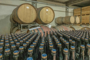 エトナ山とワインのプライベート 1 日ツアー