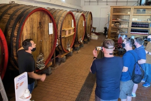 エトナ山とワインのプライベート 1 日ツアー