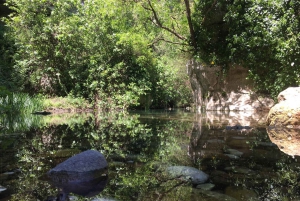 Ferla: Pantalican luonnonsuojelualue Unescon retki uimapysähdyksellä