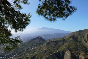 From Catania: Guided Tour of Taormina and Castelmola
