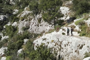 Из Катании: тур с гидом по Панталике и Сортино